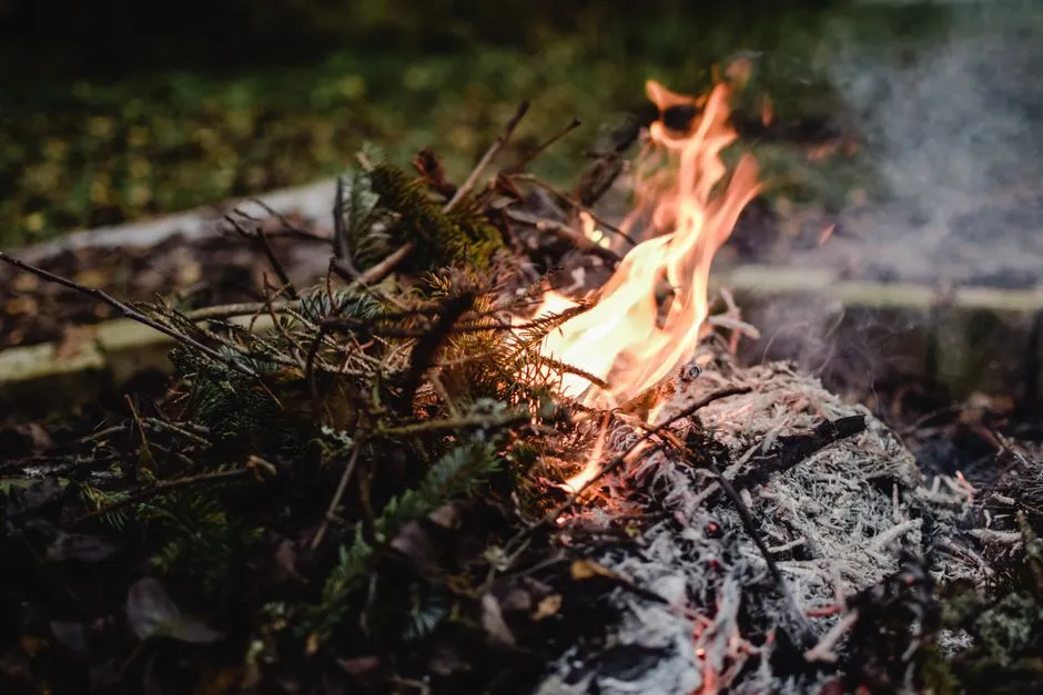 Close-up of a small campfire burning branches in an outdoor fire ring
